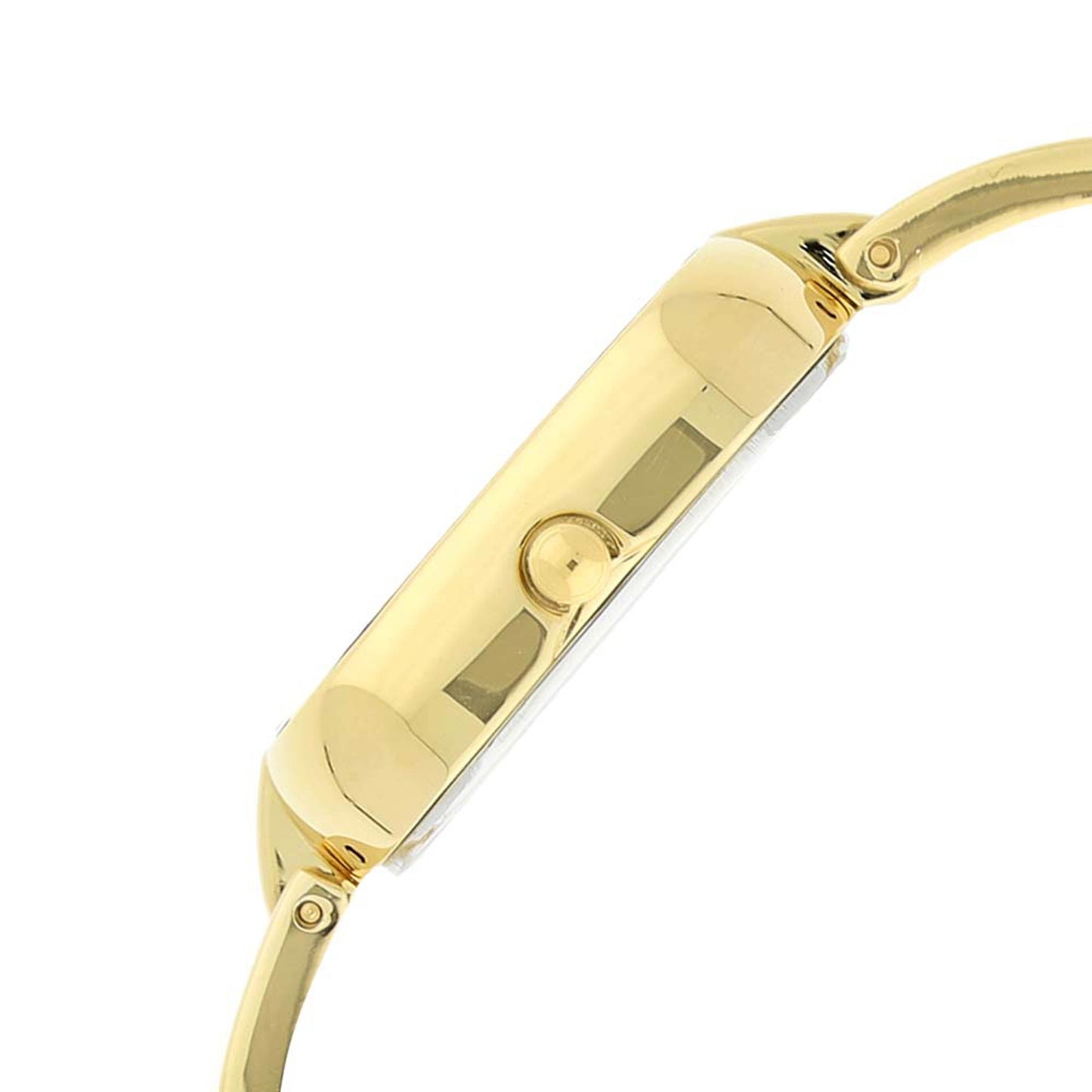 Titan Raga Viva Champagne Dial Women Watch With Metal Strap