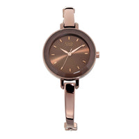 Titan Raga Brown Dial Metal Strap Analog Watch for Women