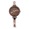 Titan Raga Brown Dial Metal Strap Analog Watch for Women