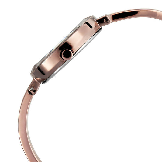 Titan Raga Brown Dial Metal Strap Analog Watch for Women