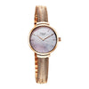 Titan Raga Mother of Pearl Dial Rose Gold Metal Strap Analog Watch for Women