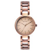 Titan Purple Brown Dial Stainless Steel Analog Watch for Women