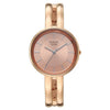 Titan Champagne Dial Rose Gold Metal Strap Analog Watch for Women
