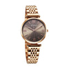 Titan Workmode Quartz Analog Grey Dial Metal Strap watch For Women